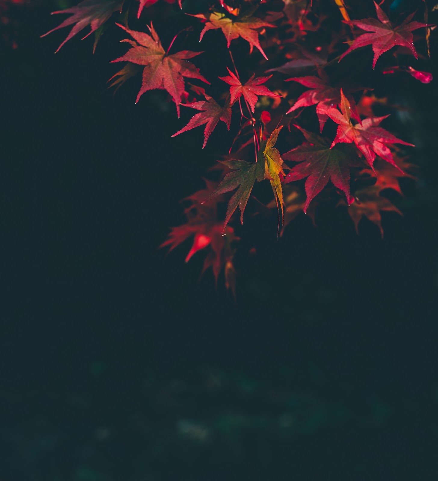 Random Wallpaper Collection 3 (November 2016) - AndroGuider | One Stop ...